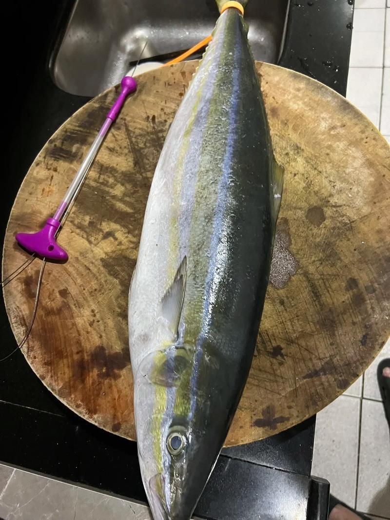 拉倫魚有哪些營養(yǎng)價(jià)值
