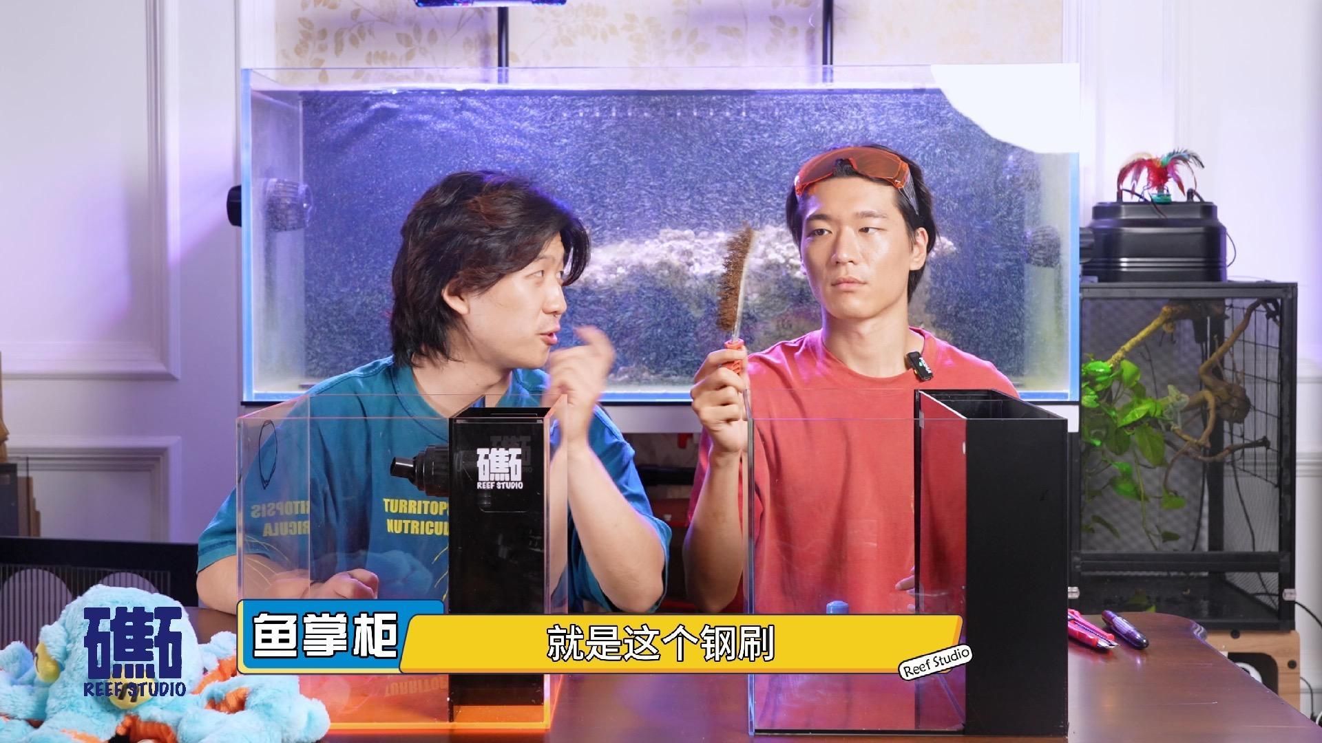世界頂級魚缸品牌中哪個最好，世界頂級魚缸品牌ada和eheim哪個最好