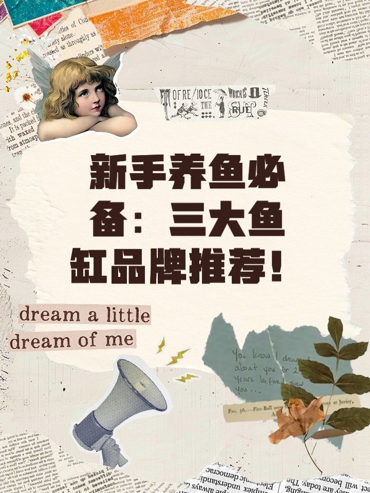世界頂級魚缸品牌中哪個最好，世界頂級魚缸品牌ada和eheim哪個最好