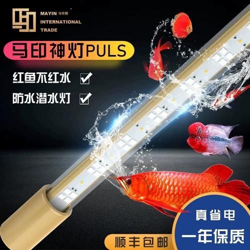 有哪些品牌的龍魚發色燈和增艷燈推薦？，龍魚發色燈和增艷燈品牌清單龍魚發色燈和增艷燈品牌清單