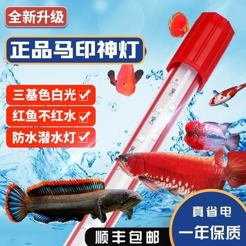 有哪些品牌的龍魚發(fā)色燈和增艷燈推薦？，龍魚發(fā)色燈和增艷燈品牌清單龍魚發(fā)色燈和增艷燈品牌清單
