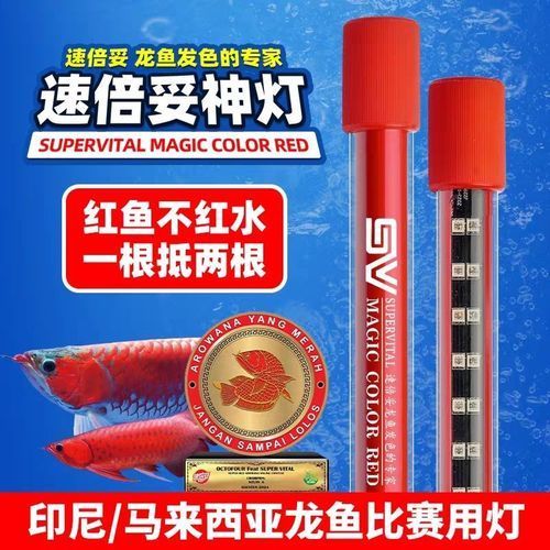 有哪些品牌的龍魚發色燈和增艷燈推薦？，龍魚發色燈和增艷燈品牌清單龍魚發色燈和增艷燈品牌清單