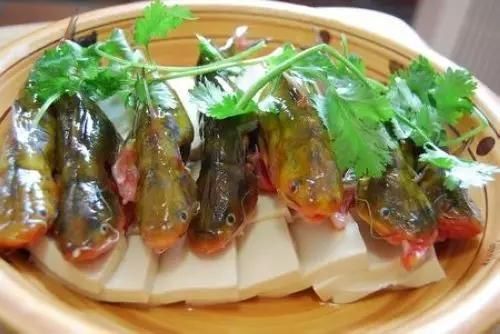 鳳臺(tái)淮王魚和龍魚有什么區(qū)別? 龍魚百科 第6張 鳳臺(tái)淮王魚和龍魚有什么區(qū)別? 鳳臺(tái)淮王魚和龍魚有什么區(qū)別? 龍魚百科 第6張