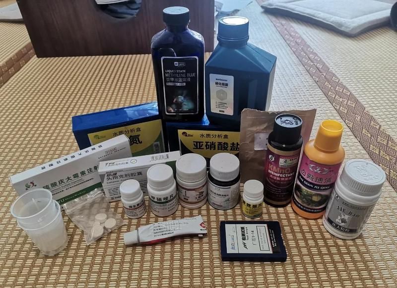 哪種藥物治療金龍魚腸炎最有效？
