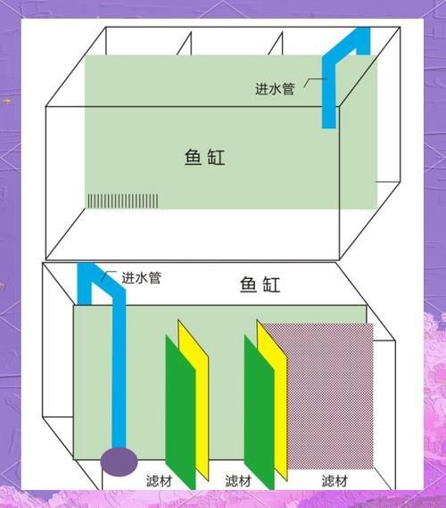 如何預防金魚受傷,如何科學預防金魚受傷 龍魚百科 第1張 如何預防金魚受傷,如何科學預防金魚受傷 如何預防金魚受傷,如何科學預防金魚受傷 龍魚百科 第1張