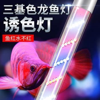 如何選擇適合龍魚的七彩變色燈？，如何選擇適合龍魚的七彩變色燈