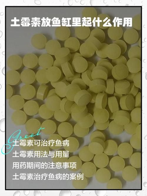 有哪些龍魚腸炎特效藥，關于龍魚腸炎的一些問題 有哪些龍魚腸炎特效藥，關于龍魚腸炎的一些問題 龍魚百科 第18張
