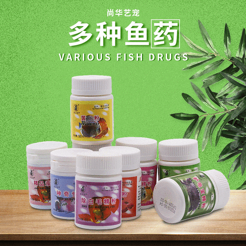 有哪些龍魚腸炎特效藥，關于龍魚腸炎的一些問題 有哪些龍魚腸炎特效藥，關于龍魚腸炎的一些問題 龍魚百科 第16張