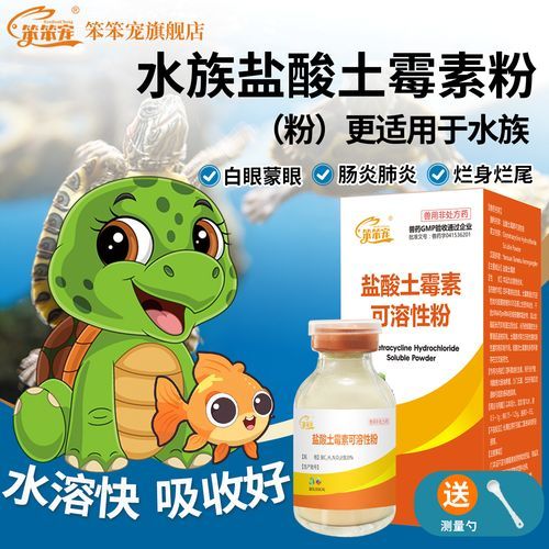 有哪些龍魚腸炎特效藥，關于龍魚腸炎的一些問題 有哪些龍魚腸炎特效藥，關于龍魚腸炎的一些問題 龍魚百科 第15張