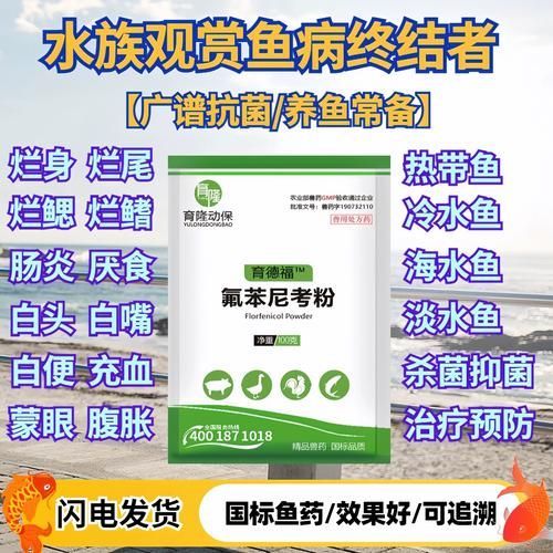 有哪些龍魚腸炎特效藥，關于龍魚腸炎的一些問題 有哪些龍魚腸炎特效藥，關于龍魚腸炎的一些問題 龍魚百科 第4張