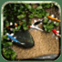 如何下載和安裝金龍魚動(dòng)態(tài)壁紙，金龍魚動(dòng)態(tài)壁紙下載和安裝金龍魚動(dòng)態(tài)壁紙應(yīng)用推薦