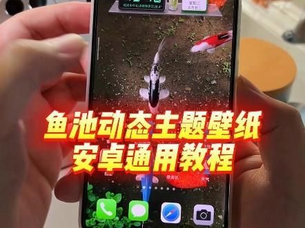 如何下載和安裝金龍魚動(dòng)態(tài)壁紙，金龍魚動(dòng)態(tài)壁紙下載和安裝金龍魚動(dòng)態(tài)壁紙應(yīng)用推薦