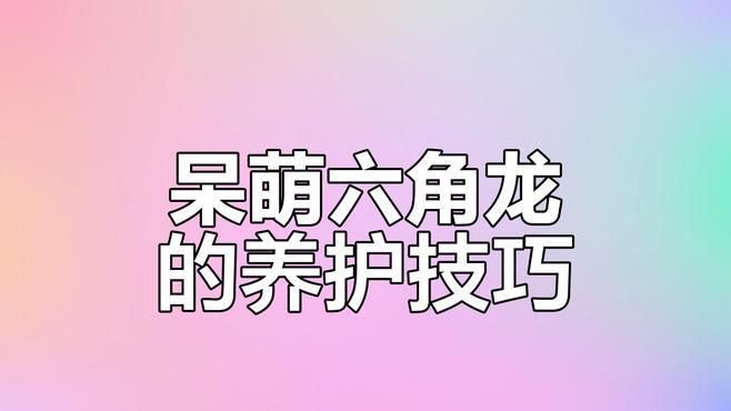 六角龍飼養(yǎng)空間配置清單 六角龍飼養(yǎng)空間配置清單 龍魚百科 第2張