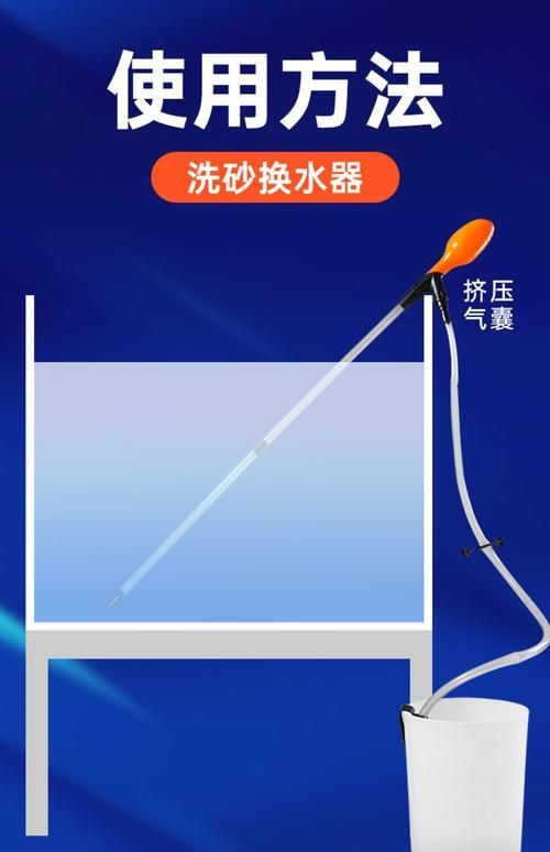 如何科學清洗魚缸，科學清洗魚缸 如何科學清洗魚缸，科學清洗魚缸 龍魚百科 第8張