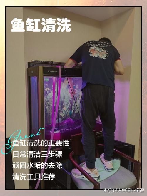 如何科學清洗魚缸，科學清洗魚缸 如何科學清洗魚缸，科學清洗魚缸 龍魚百科 第4張