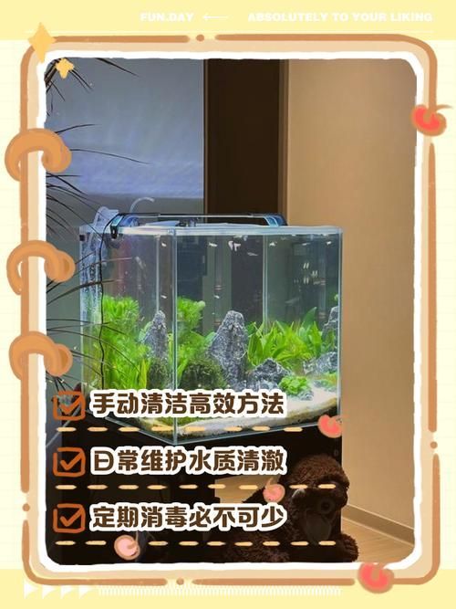 如何科學清洗魚缸，科學清洗魚缸 如何科學清洗魚缸，科學清洗魚缸 龍魚百科 第2張