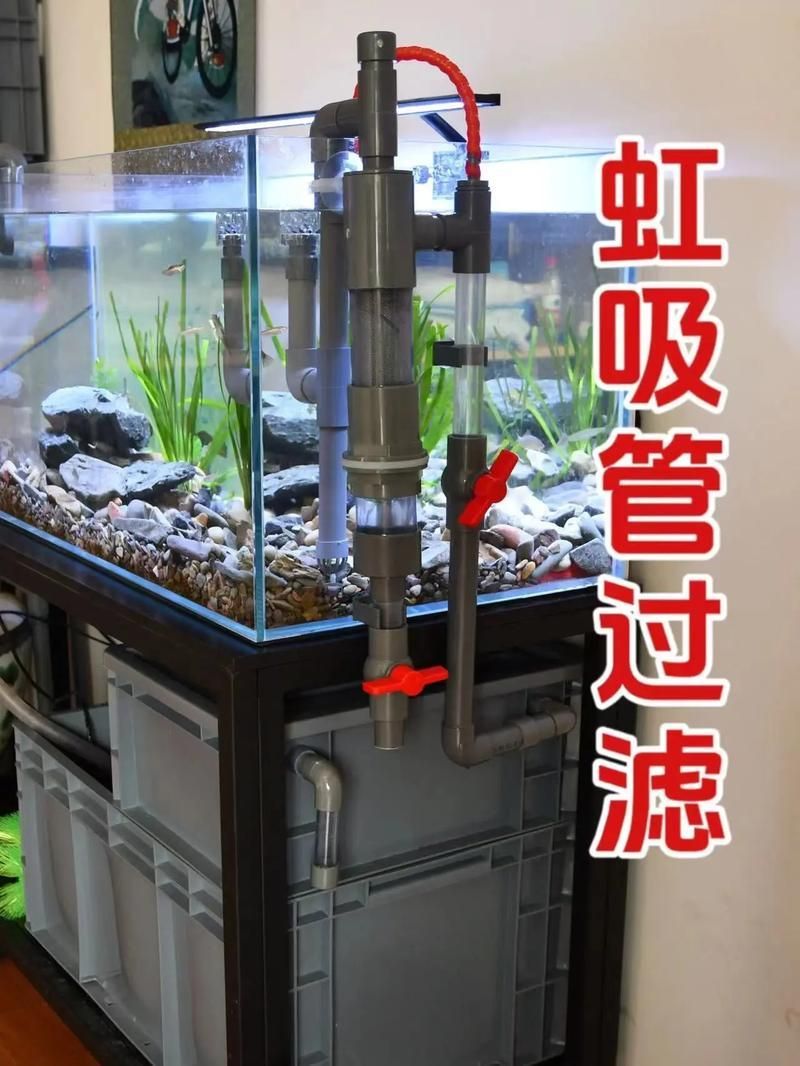 如何科學清洗魚缸，科學清洗魚缸 如何科學清洗魚缸，科學清洗魚缸 龍魚百科 第9張