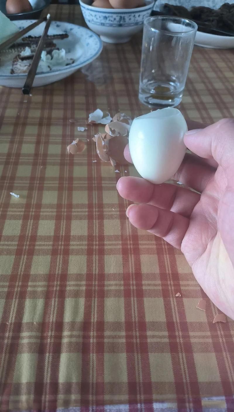 雞蛋黃喂食龍魚有哪些注意事項？，關于雞蛋黃喂食龍魚的注意事項