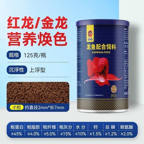 如何降低福泉龍魚的飼養成本，如何降低福泉龍魚的飼養成本遠超飼養成本遠超飼養成本