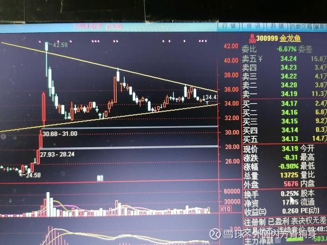 金龍魚股票的技術面分析有哪些？，金龍魚股票的技術面分析主要涉及以下幾個方面阻力位