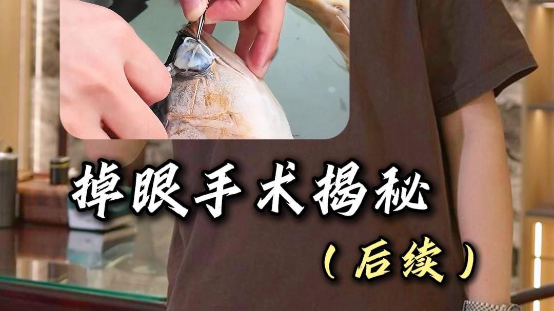 如何判斷龍魚嘴合不攏是否嚴重？，如何判斷龍魚嘴合不攏