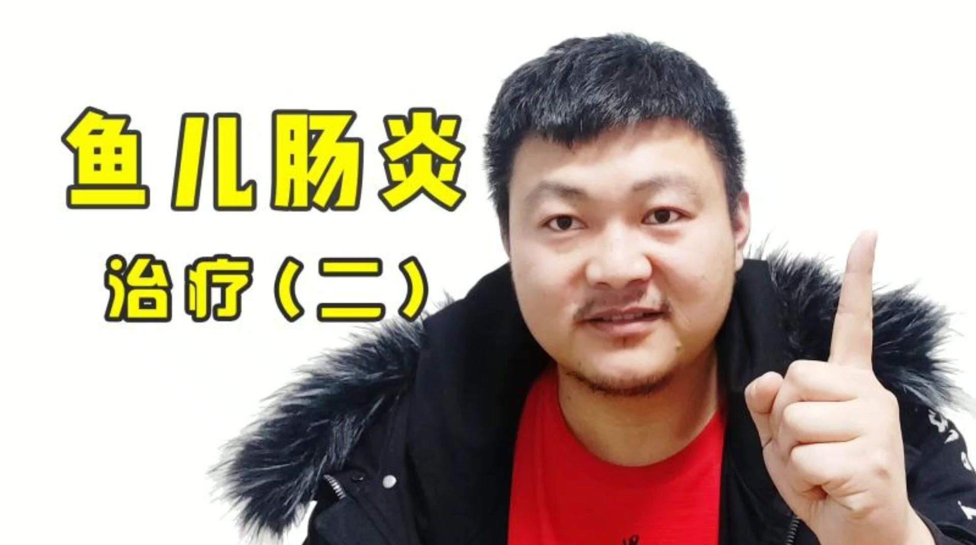 如何治療魚的細菌性腸炎，魚的細菌性腸炎如何治療治療細菌性腸炎需要注意哪些事項 如何治療魚的細菌性腸炎，魚的細菌性腸炎如何治療治療細菌性腸炎需要注意哪些事項 龍魚百科 第2張