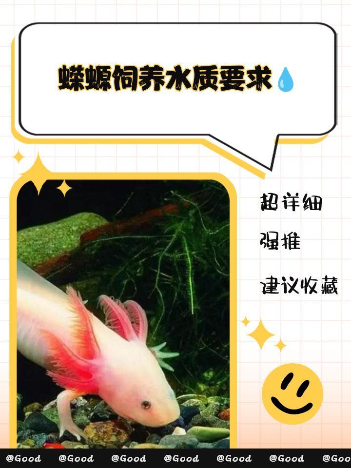 如何判斷水質是否適合火龍魚蠑螈，如何判斷水質是否適合火龍魚和蠑螈 如何判斷水質是否適合火龍魚蠑螈，如何判斷水質是否適合火龍魚和蠑螈 龍魚百科 第1張