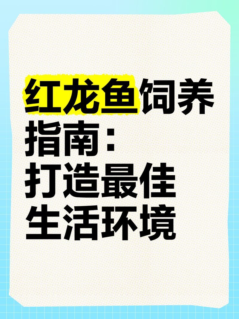 紅龍魚飼養方法有哪些，紅龍魚的飼養方法 紅龍魚飼養方法有哪些，紅龍魚的飼養方法 龍魚百科 第4張