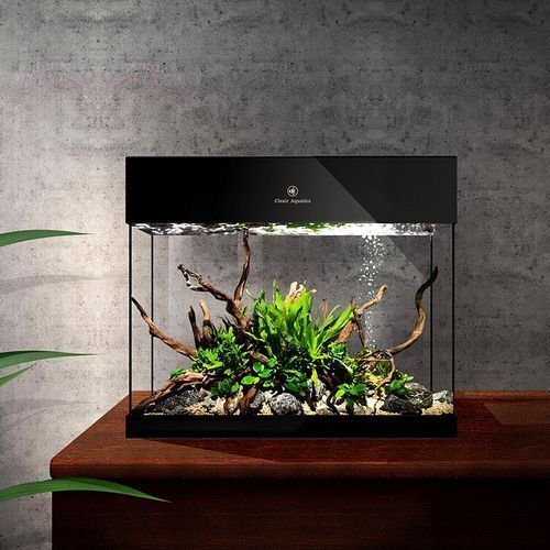 有哪些口碑好的魚缸品牌？，口碑好的魚缸品牌推薦，口碑較好的魚缸品牌推薦