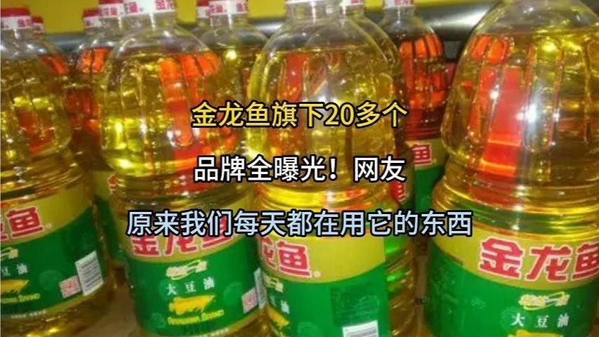 介紹一下金龍魚(yú)的主要產(chǎn)品，金龍魚(yú)旗下20多個(gè)品牌全曝光網(wǎng)友：原來(lái)我們每天都在用它的東西 介紹一下金龍魚(yú)的主要產(chǎn)品，金龍魚(yú)旗下20多個(gè)品牌全曝光網(wǎng)友：原來(lái)我們每天都在用它的東西 龍魚(yú)百科 第16張