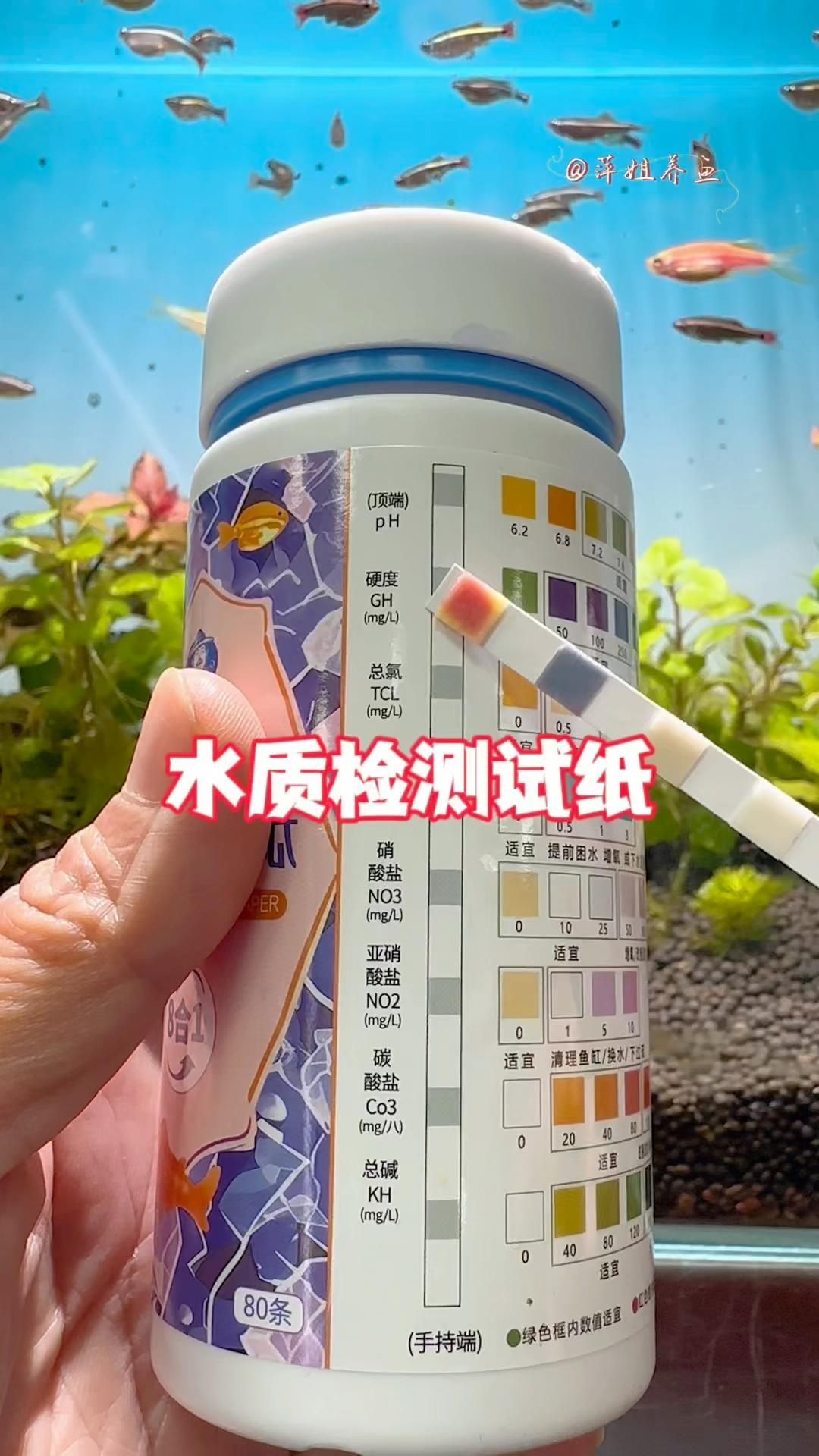 如何判斷魚(yú)缸是否需要換水，判斷魚(yú)缸是否需要換水是確保水族箱內(nèi)水質(zhì)健康的關(guān)鍵步驟