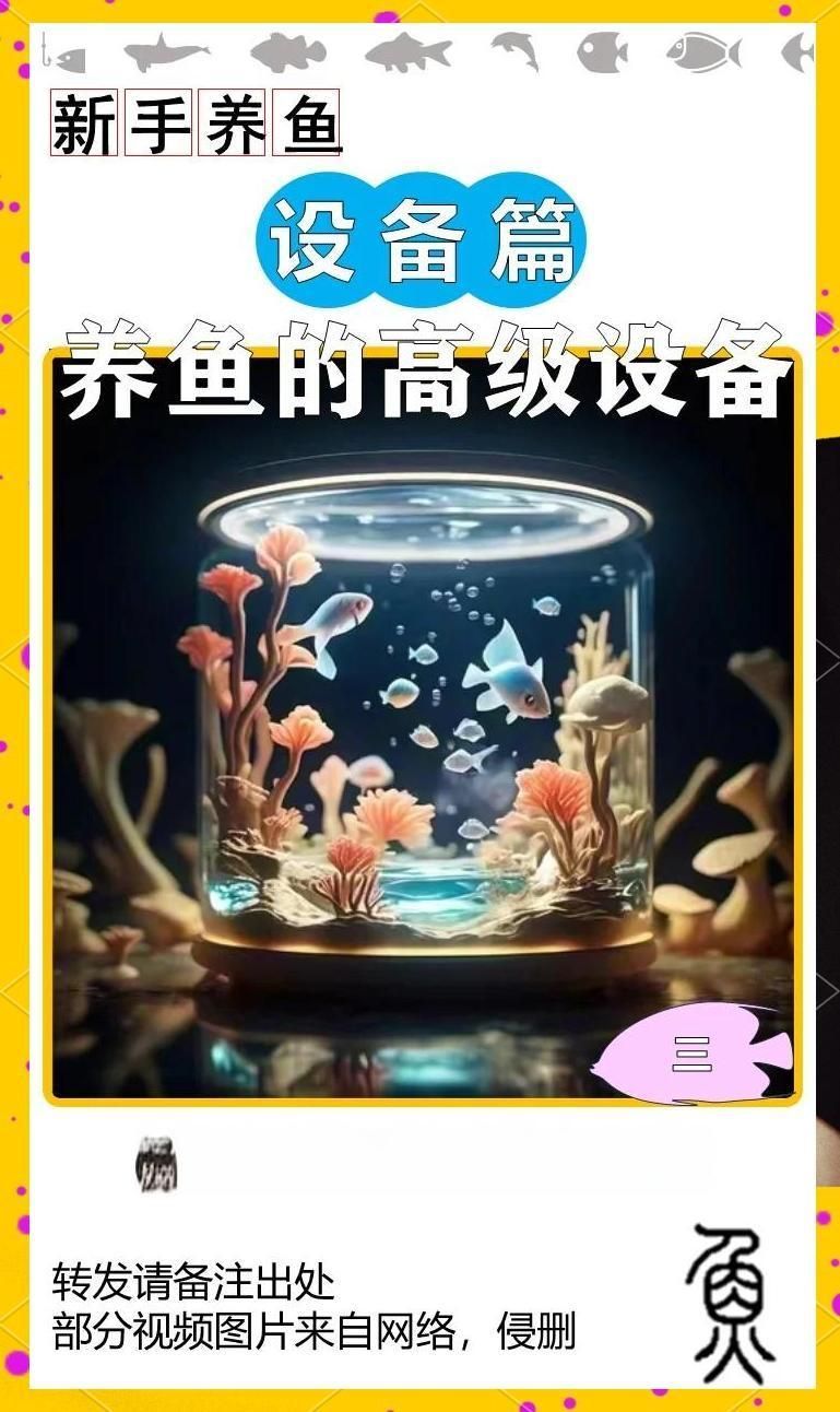 主角養龍魚有哪些系統輔助 主角養龍魚有哪些系統輔助 龍魚百科 第1張