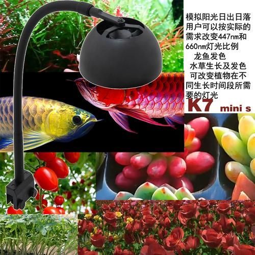 有哪些適合龍魚(yú)的全光譜LED燈，全光譜led燈選擇