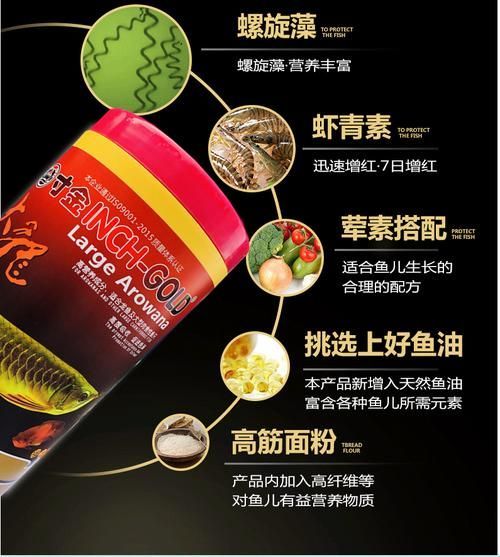 龍魚飼料哪個品牌最好？，龍魚飼料品牌選擇是養龍魚愛好者們關心的問題