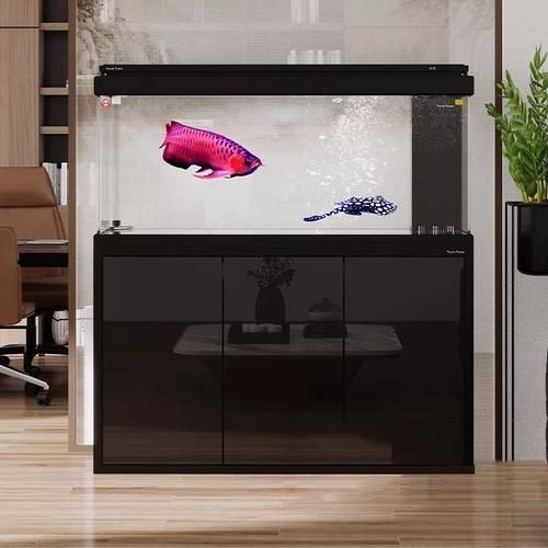 推薦幾款性價比高的魚之家生態龍魚缸，性價比高的魚之家生態龍魚缸，性價比高的生態龍魚缸 推薦幾款性價比高的魚之家生態龍魚缸，性價比高的魚之家生態龍魚缸，性價比高的生態龍魚缸 龍魚百科 第13張