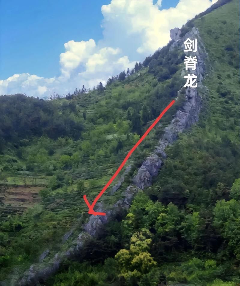 給我幾張龍形地的風水圖片，風水學中“龍形地”是指山脈或地形走勢如龍蜿蜒