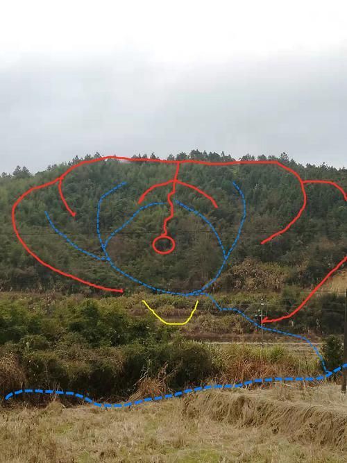 給我幾張龍形地的風水圖片，風水學中“龍形地”是指山脈或地形走勢如龍蜿蜒