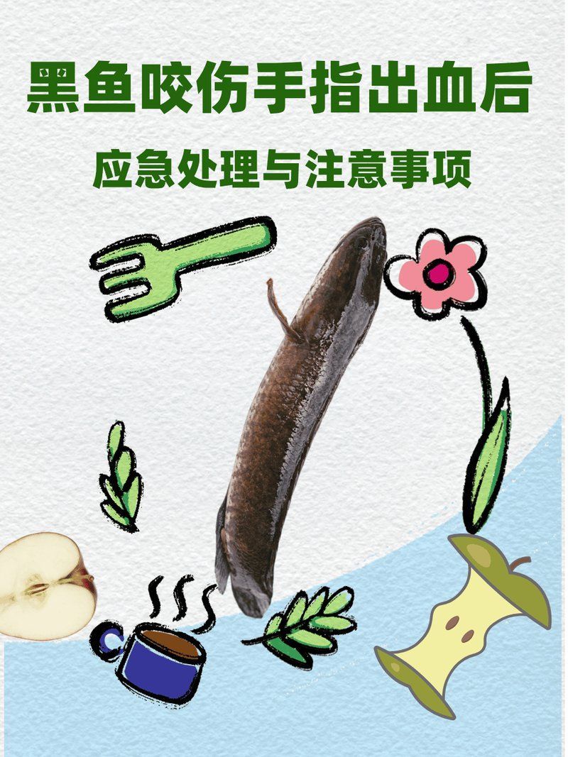 如何預防魚再次被咬傷，普外科高登輝醫生普外科高登輝醫生普外科高登輝醫生