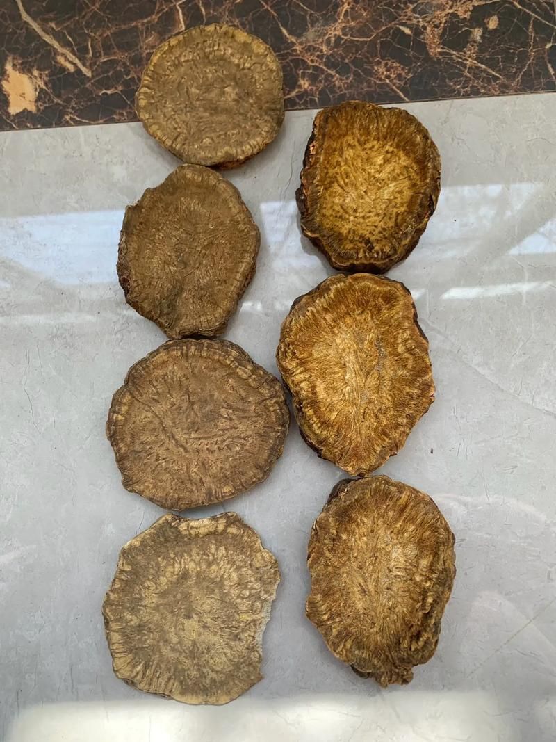 有哪些中草藥可以預(yù)防龍魚腹水，中草藥可以預(yù)防龍魚腹水調(diào)用工具arxiv論文助手 有哪些中草藥可以預(yù)防龍魚腹水，中草藥可以預(yù)防龍魚腹水調(diào)用工具arxiv論文助手 龍魚百科 第5張