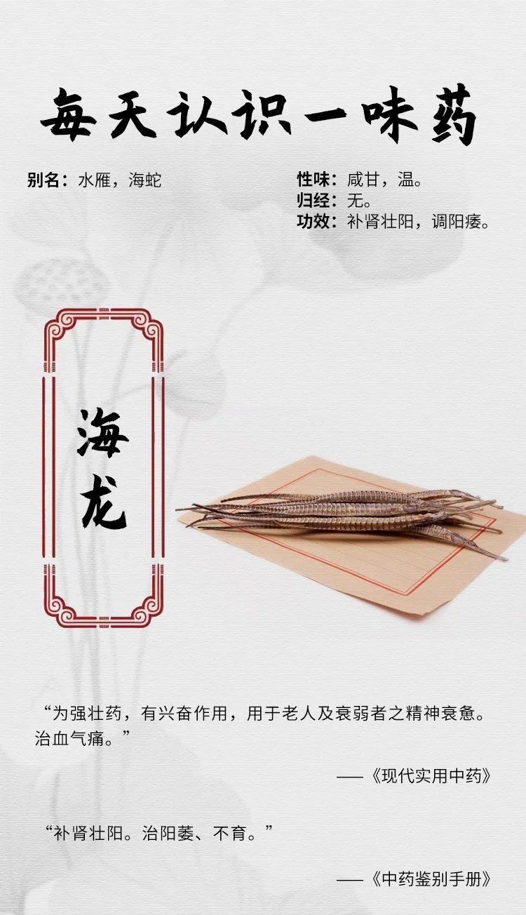 海龍魚和海龍哪個更有藥用價值，海龍魚和海龍哪個更有藥用價值，