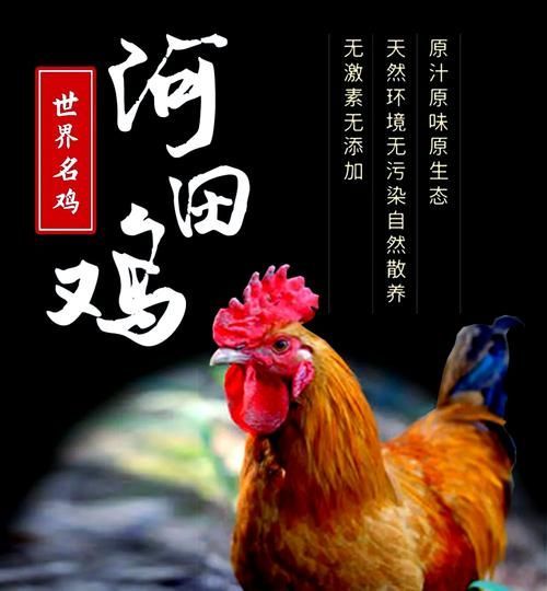 長汀龍魚是本地特產嗎？，福建龍巖市長汀縣的真正特產長汀龍魚是本地特產嗎 長汀龍魚是本地特產嗎？，福建龍巖市長汀縣的真正特產長汀龍魚是本地特產嗎 龍魚百科 第1張