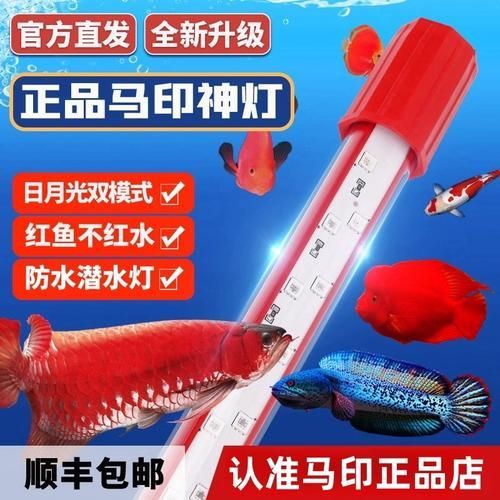 仟湖和馬印哪個(gè)品牌的龍魚發(fā)色燈更好?,仟湖和馬印兩個(gè)品牌在龍魚發(fā)色燈領(lǐng)域各有所長選擇 龍魚百科 第4張 仟湖和馬印哪個(gè)品牌的龍魚發(fā)色燈更好?,仟湖和馬印兩個(gè)品牌在龍魚發(fā)色燈領(lǐng)域各有所長選擇 仟湖和馬印哪個(gè)品牌的龍魚發(fā)色燈更好?,仟湖和馬印兩個(gè)品牌在龍魚發(fā)色燈領(lǐng)域各有所長選擇 龍魚百科 第4張