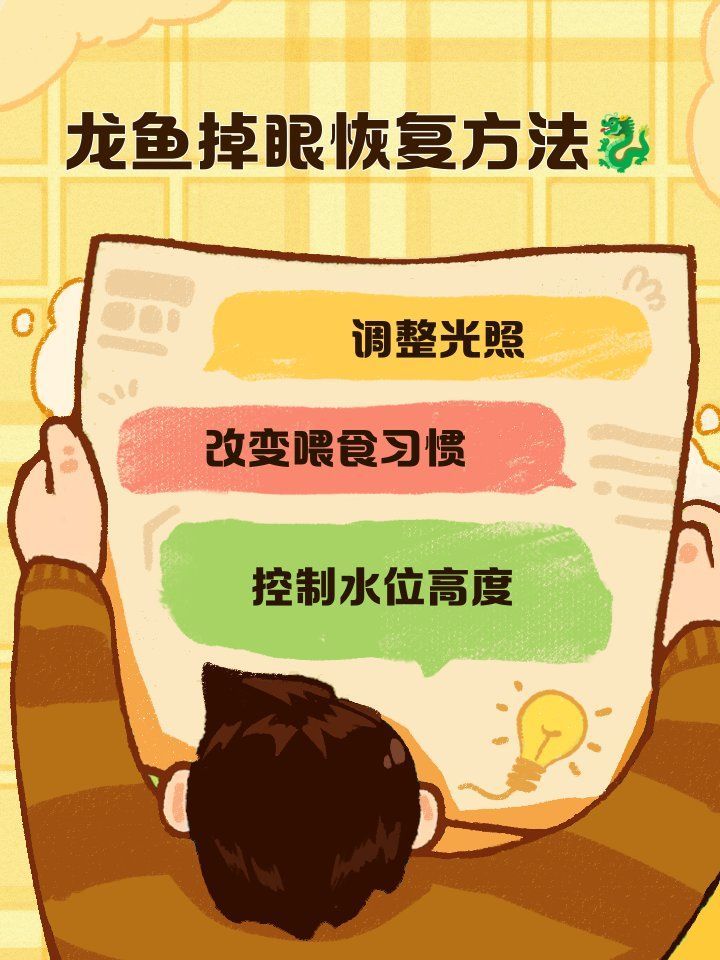 如何為龍魚提供良好的休息環(huán)境，龍魚夜間光照與水質(zhì)管理，龍魚飼養(yǎng)指南