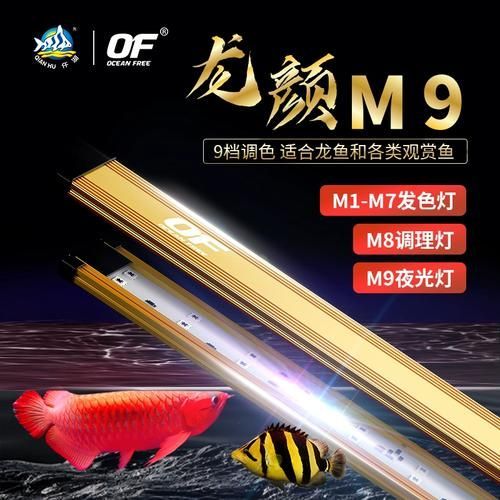 除了以上品牌，還有哪些龍魚發色燈品牌？，選擇龍魚發色燈品牌的重要性 除了以上品牌，還有哪些龍魚發色燈品牌？，選擇龍魚發色燈品牌的重要性 龍魚百科 第3張