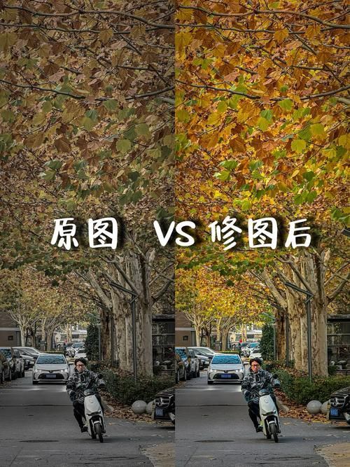 能否提供更詳細(xì)的對(duì)比圖 能否提供更詳細(xì)的對(duì)比圖 龍魚(yú)百科 第1張