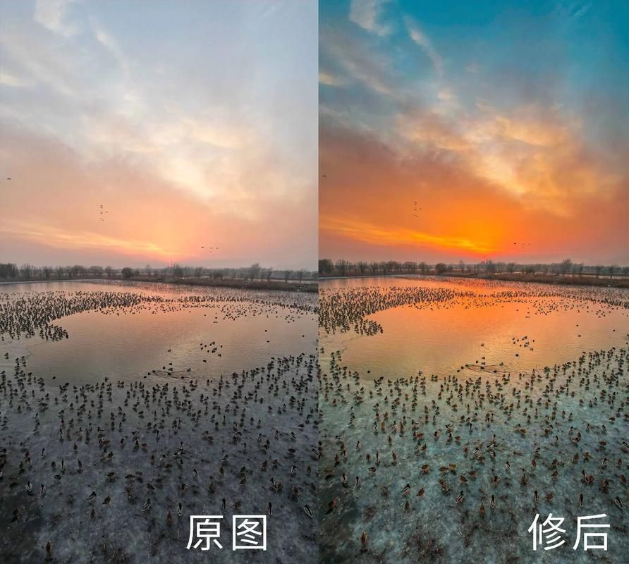 能否提供更詳細(xì)的對(duì)比圖 能否提供更詳細(xì)的對(duì)比圖 龍魚(yú)百科 第2張
