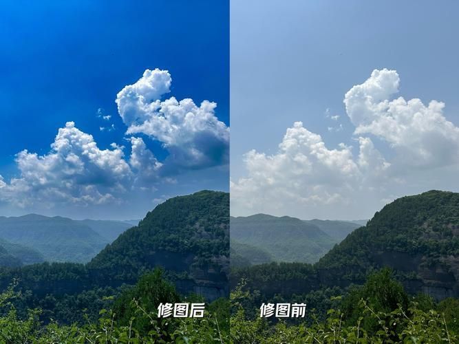 能否提供更詳細(xì)的對(duì)比圖 能否提供更詳細(xì)的對(duì)比圖 龍魚(yú)百科 第23張