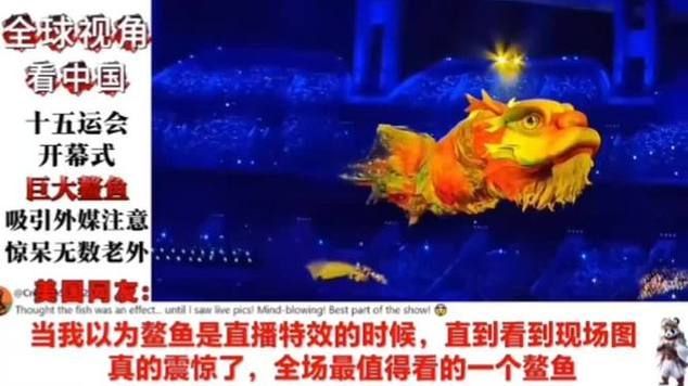 如何在YouTube上找到龍魚視頻，如何在youtube上找到龍魚視頻 如何在YouTube上找到龍魚視頻，如何在youtube上找到龍魚視頻 龍魚百科 第1張