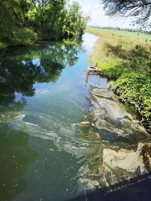 能否提供更多關于水質問題的圖片,水質問題可以提供嗎? 龍魚百科 第7張 能否提供更多關于水質問題的圖片,水質問題可以提供嗎? 能否提供更多關于水質問題的圖片,水質問題可以提供嗎? 龍魚百科 第7張