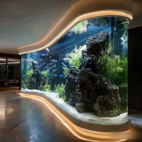 祥龍魚場有哪些高檔龍魚缸款式？，祥龍魚場有哪些高檔魚缸款式？